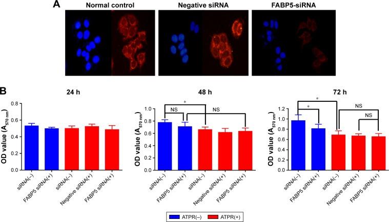 https://cdn.ncbi.nlm.nih.gov/pmc/blobs/2125/5927060/c62625445a73/dddt-12-997Fig6.jpg