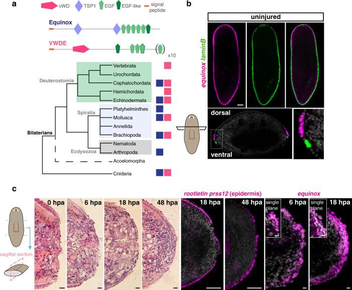 https://cdn.ncbi.nlm.nih.gov/pmc/blobs/2125/9117669/71975912a15f/41467_2022_30412_Fig2_HTML.jpg