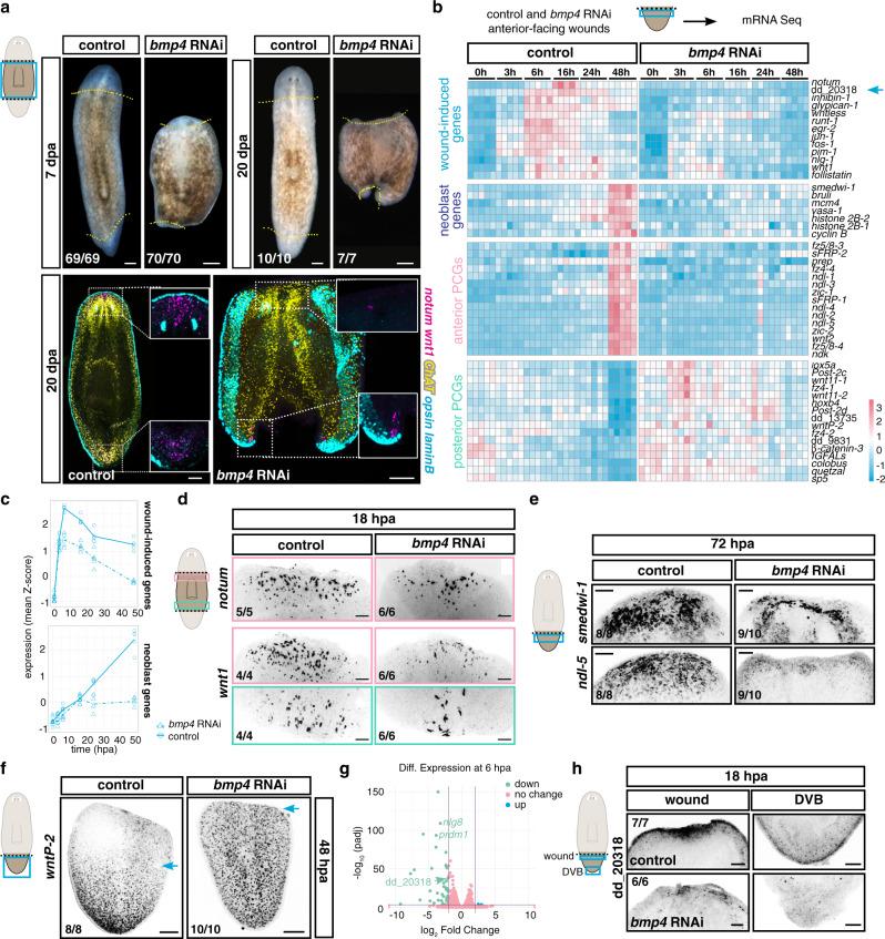 https://cdn.ncbi.nlm.nih.gov/pmc/blobs/2125/9117669/d933c490322d/41467_2022_30412_Fig1_HTML.jpg