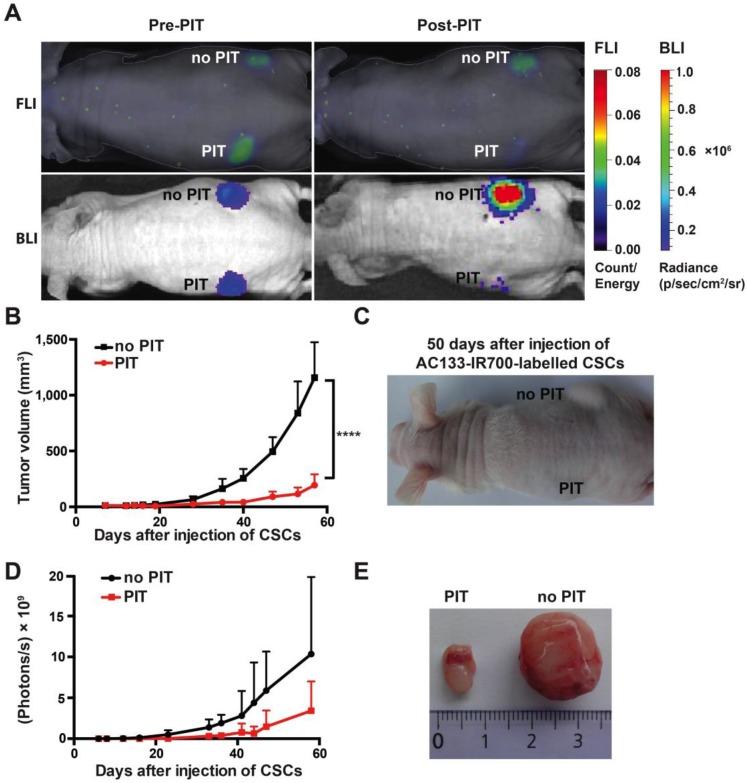 https://cdn.ncbi.nlm.nih.gov/pmc/blobs/2126/4860894/21d8d5945d4c/thnov06p0862g003.jpg