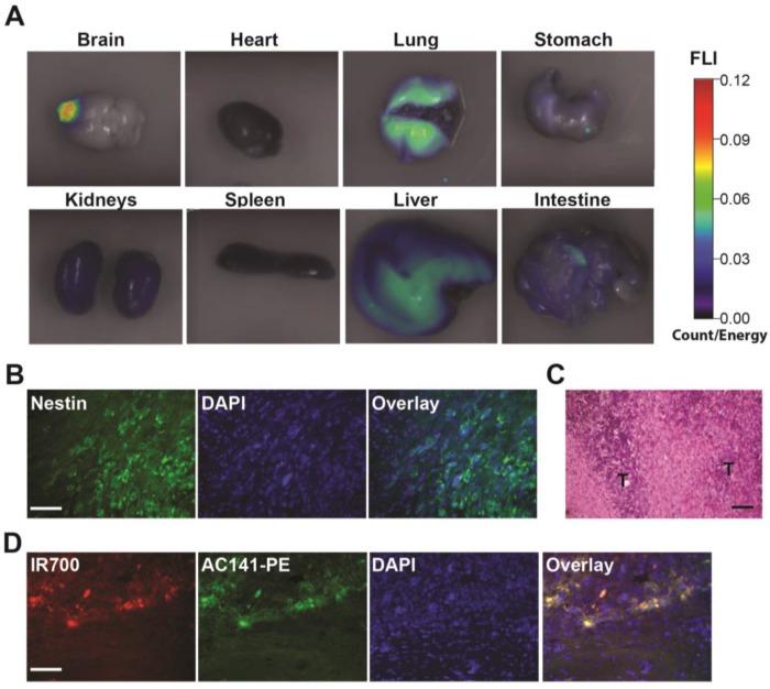 https://cdn.ncbi.nlm.nih.gov/pmc/blobs/2126/4860894/30cf07356fcb/thnov06p0862g005.jpg