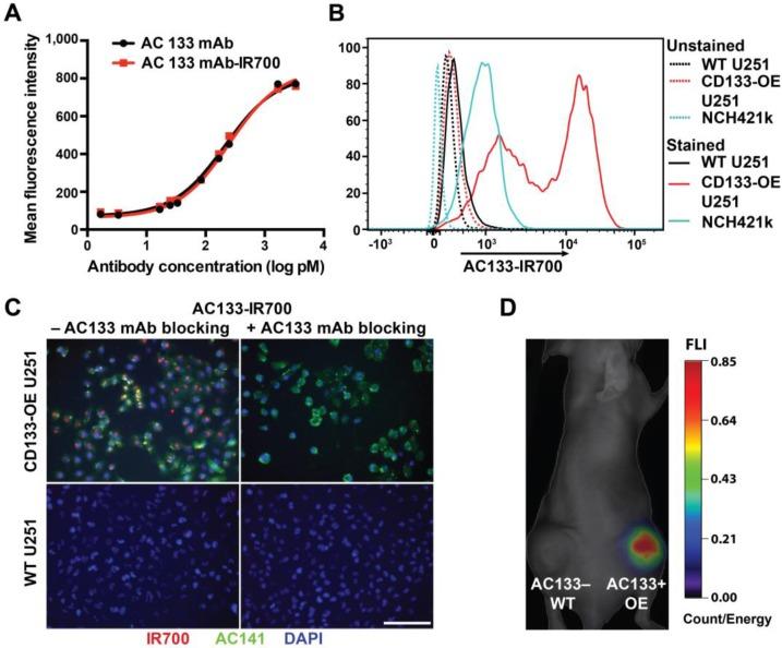 https://cdn.ncbi.nlm.nih.gov/pmc/blobs/2126/4860894/8a7e0dab77a1/thnov06p0862g001.jpg