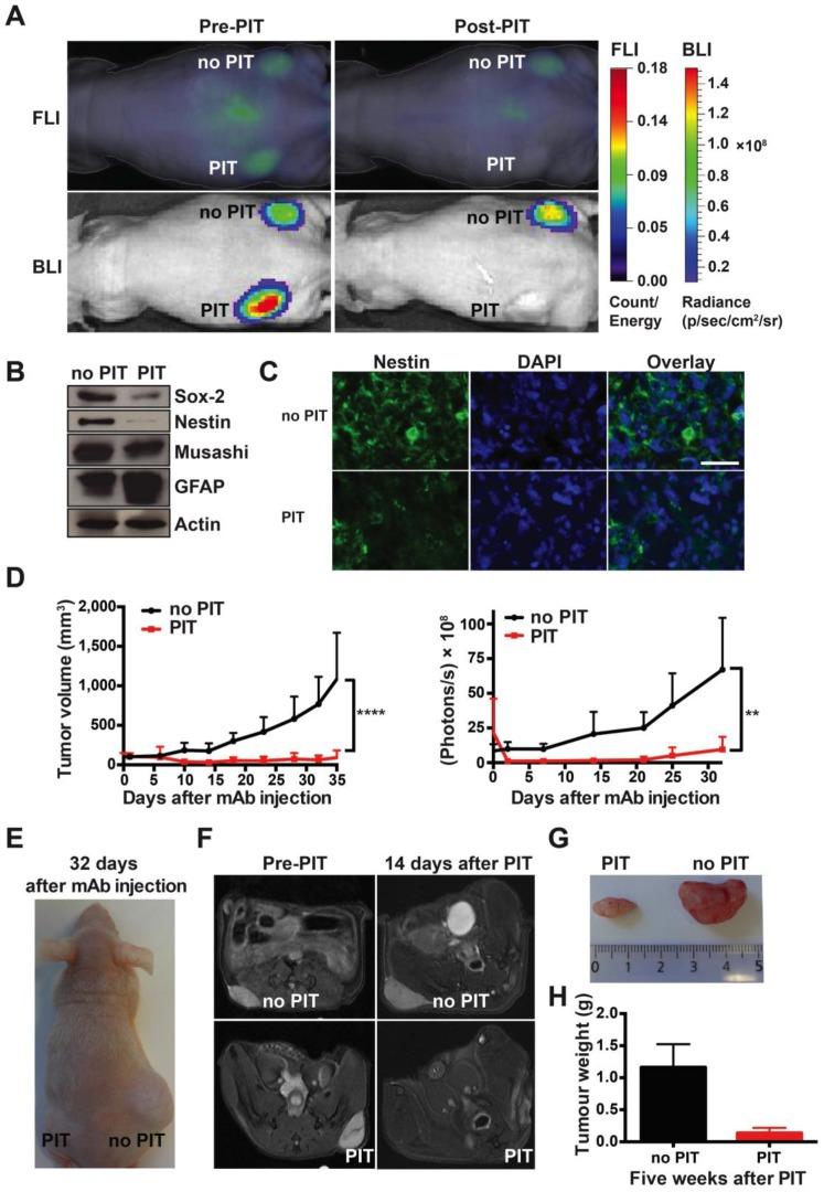 https://cdn.ncbi.nlm.nih.gov/pmc/blobs/2126/4860894/b1a9f9749800/thnov06p0862g004.jpg