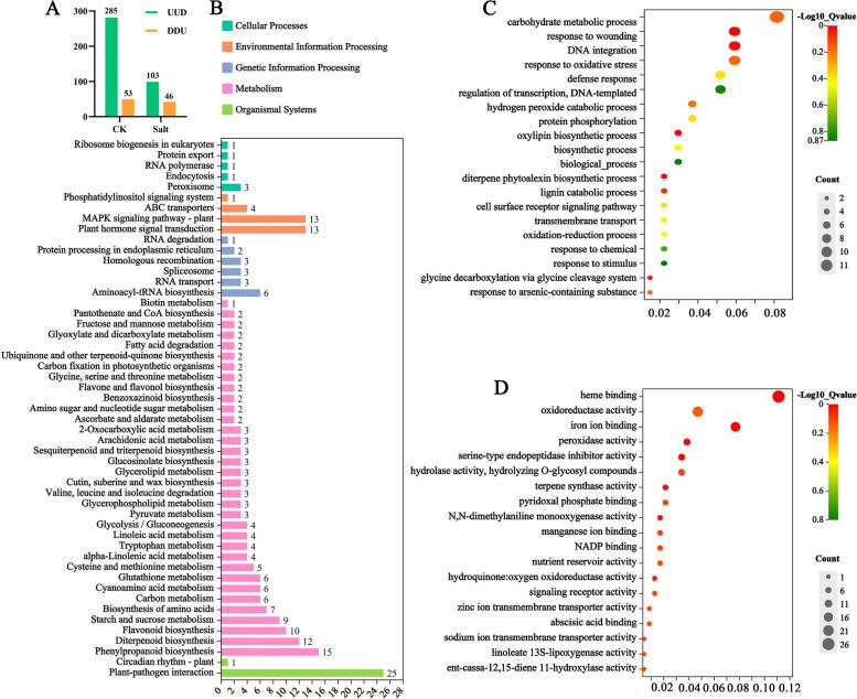 https://cdn.ncbi.nlm.nih.gov/pmc/blobs/2127/10634080/98311ee1303f/12870_2023_4533_Fig11_HTML.jpg
