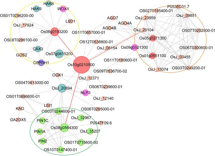 https://cdn.ncbi.nlm.nih.gov/pmc/blobs/2127/10634080/aa581f2e4e99/12870_2023_4533_Fig14_HTML.jpg