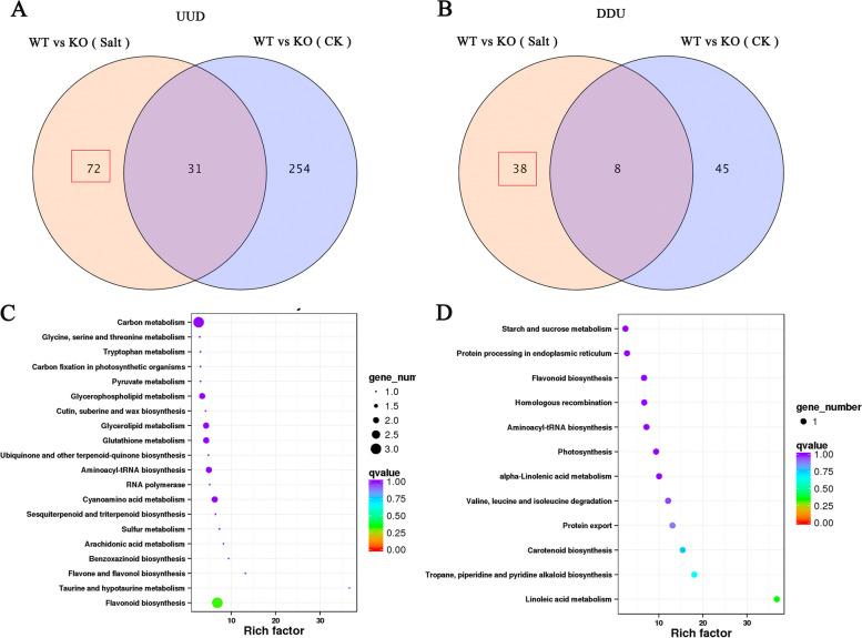 https://cdn.ncbi.nlm.nih.gov/pmc/blobs/2127/10634080/dc3b7340cf55/12870_2023_4533_Fig12_HTML.jpg