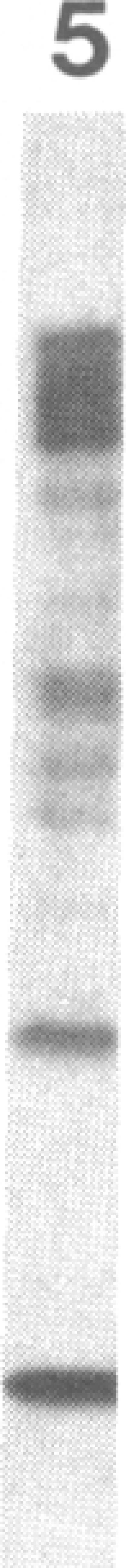 https://cdn.ncbi.nlm.nih.gov/pmc/blobs/2128/391385/40a684b191a8/pnas00362-0158-e.jpg