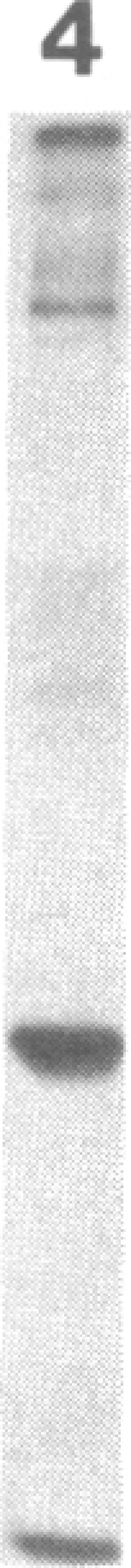 https://cdn.ncbi.nlm.nih.gov/pmc/blobs/2128/391385/716dd0ce7489/pnas00362-0158-d.jpg