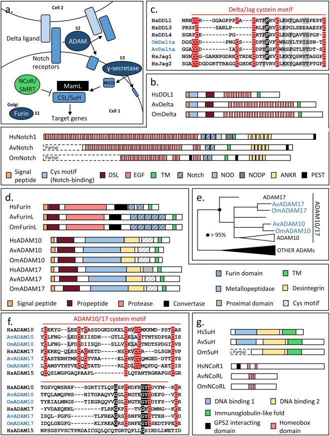 https://cdn.ncbi.nlm.nih.gov/pmc/blobs/2128/5684314/b940186d0e68/41598_2017_15557_Fig2_HTML.jpg