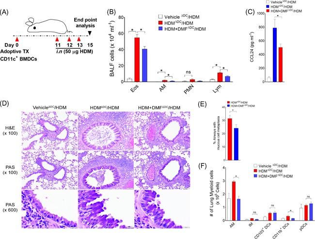 https://cdn.ncbi.nlm.nih.gov/pmc/blobs/2129/6688084/dfa410cf9b90/IID3-7-201-g005.jpg