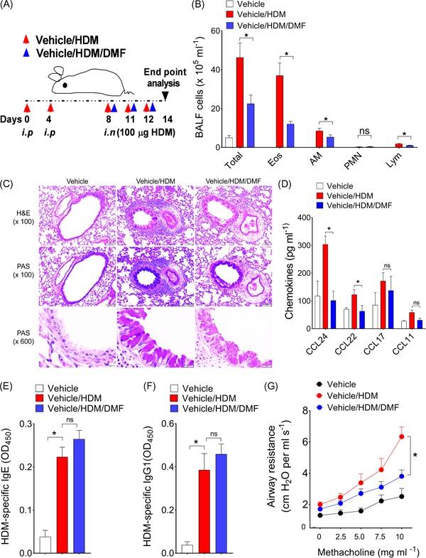 https://cdn.ncbi.nlm.nih.gov/pmc/blobs/2129/6688084/e2b9e28450b5/IID3-7-201-g001.jpg
