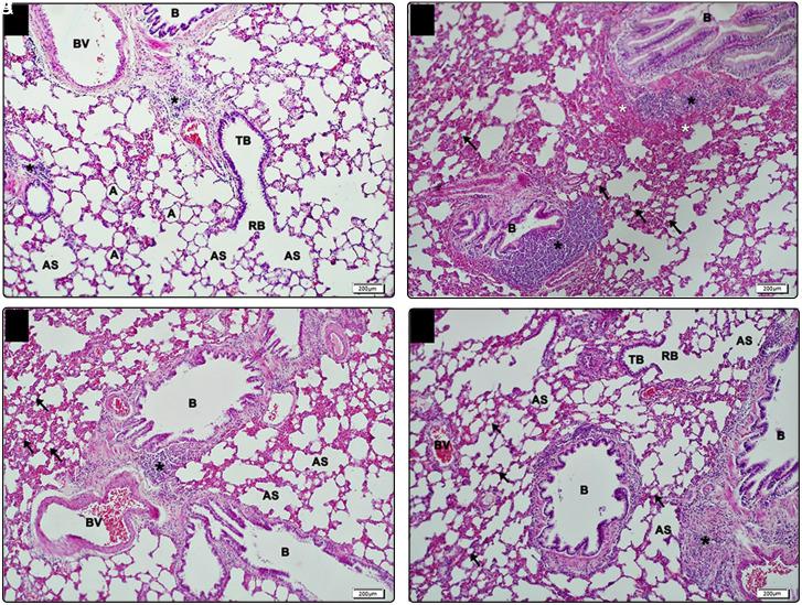 https://cdn.ncbi.nlm.nih.gov/pmc/blobs/212b/11059984/29c7820c5da0/tjg-35-3-223_f005.jpg