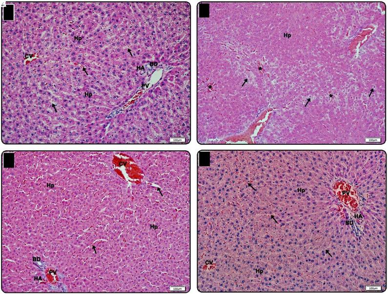 https://cdn.ncbi.nlm.nih.gov/pmc/blobs/212b/11059984/84d6721d1b9a/tjg-35-3-223_f003.jpg