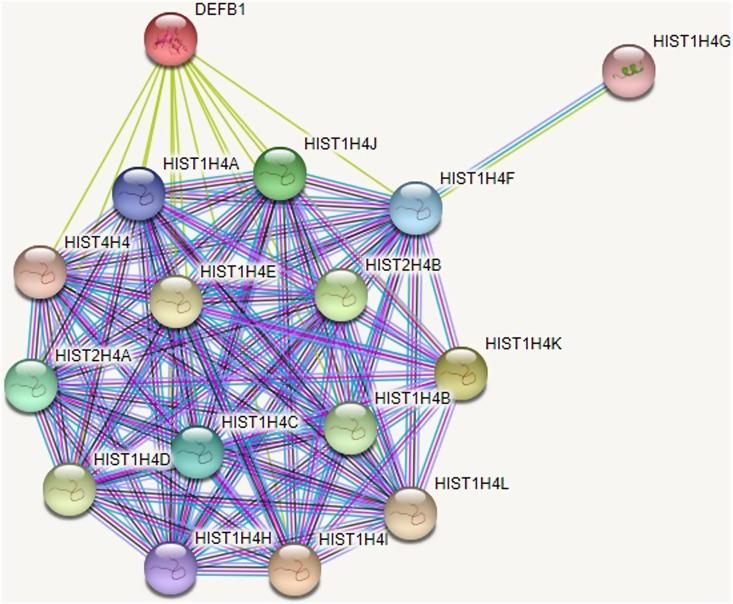 https://cdn.ncbi.nlm.nih.gov/pmc/blobs/212b/11059984/876ff614b1a9/tjg-35-3-223_f006.jpg