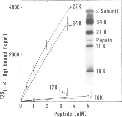 https://cdn.ncbi.nlm.nih.gov/pmc/blobs/212c/555144/d197da3aaaa8/emboj00256-0089-a.jpg