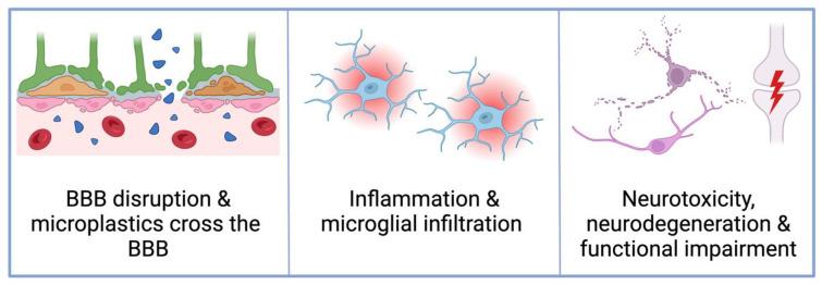 https://cdn.ncbi.nlm.nih.gov/pmc/blobs/212e/11120006/0300cf9520bd/cimb-46-00256-g002.jpg