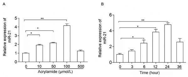 https://cdn.ncbi.nlm.nih.gov/pmc/blobs/212e/6551424/22040caa3bf6/jbr-33-3-181-fig1.jpg