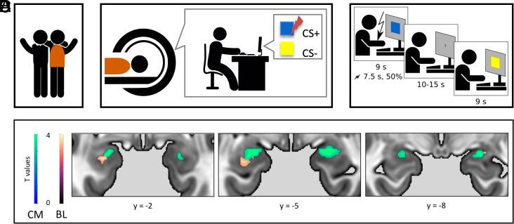 https://cdn.ncbi.nlm.nih.gov/pmc/blobs/212f/10655214/660606cf14ba/pnas.2302655120fig03.jpg