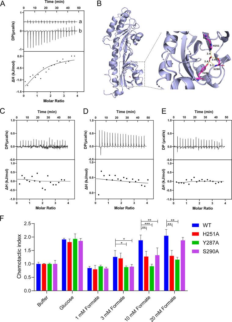 https://cdn.ncbi.nlm.nih.gov/pmc/blobs/2130/10294657/3764f9d84fda/mbio.03564-22-f003.jpg