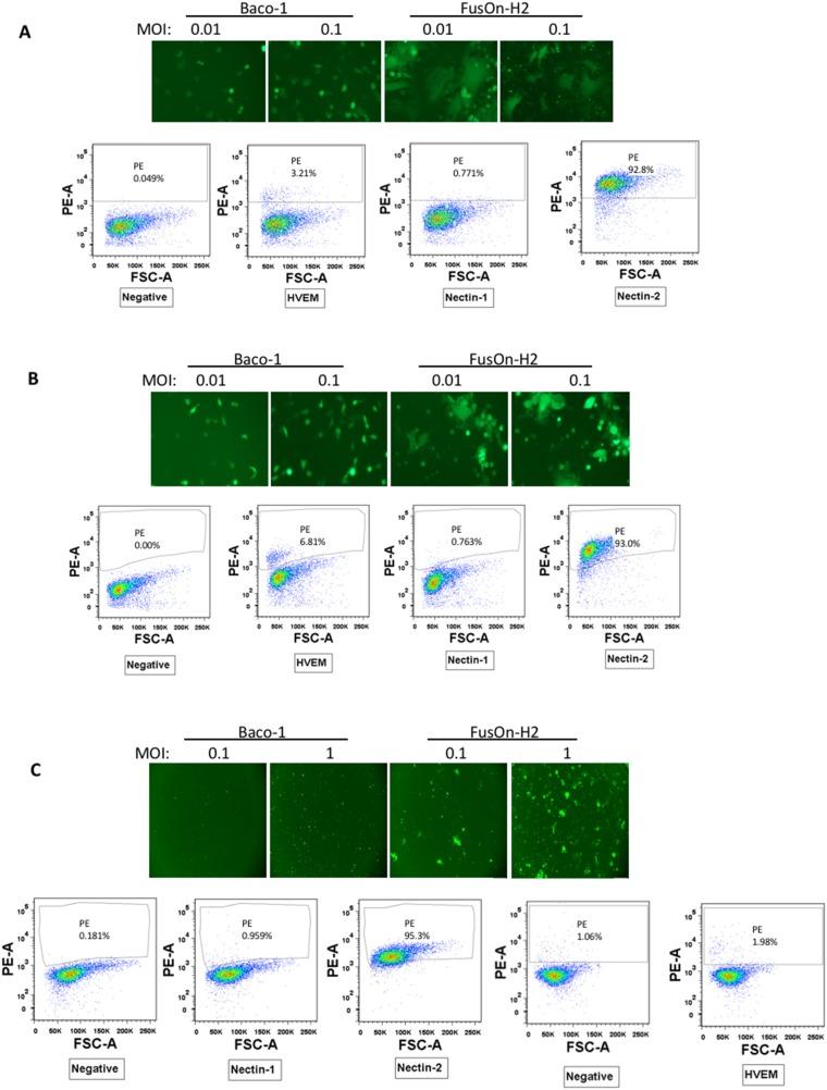 https://cdn.ncbi.nlm.nih.gov/pmc/blobs/2130/5940406/11041676331b/oncotarget-09-21348-g001.jpg