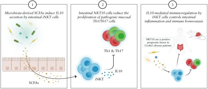 https://cdn.ncbi.nlm.nih.gov/pmc/blobs/2130/9455792/81310485722f/jjac049f0006.jpg