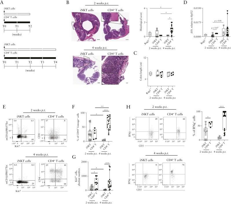 https://cdn.ncbi.nlm.nih.gov/pmc/blobs/2130/9455792/a2ec7361bf4a/jjac049f0001.jpg