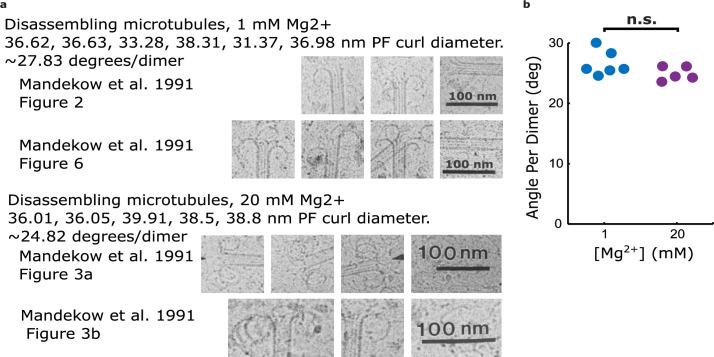 https://cdn.ncbi.nlm.nih.gov/pmc/blobs/2130/9799970/05b80330b96d/elife-83225-fig4-figsupp2.jpg