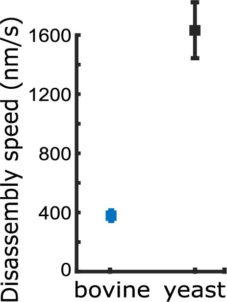 https://cdn.ncbi.nlm.nih.gov/pmc/blobs/2130/9799970/067a857f6b83/elife-83225-fig4-figsupp4.jpg