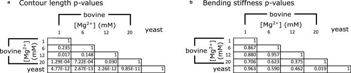 https://cdn.ncbi.nlm.nih.gov/pmc/blobs/2130/9799970/0eebba78811a/elife-83225-fig4-figsupp5.jpg