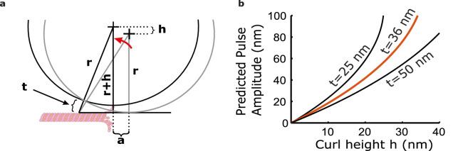https://cdn.ncbi.nlm.nih.gov/pmc/blobs/2130/9799970/358dc3eb917b/elife-83225-fig1-figsupp2.jpg