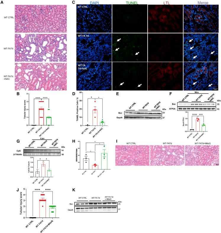 https://cdn.ncbi.nlm.nih.gov/pmc/blobs/2132/10556228/6f1812664287/gr4.jpg