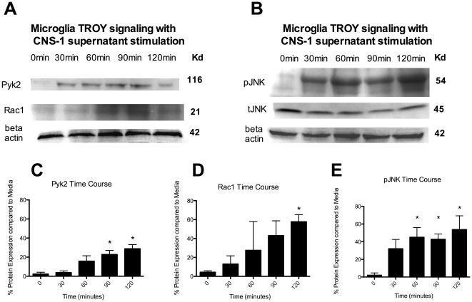 https://cdn.ncbi.nlm.nih.gov/pmc/blobs/2133/3359343/a136f6a75379/pone.0037955.g003.jpg