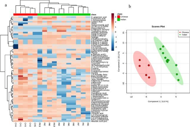 https://cdn.ncbi.nlm.nih.gov/pmc/blobs/2133/6591403/173b3330f49d/41598_2019_45640_Fig3_HTML.jpg