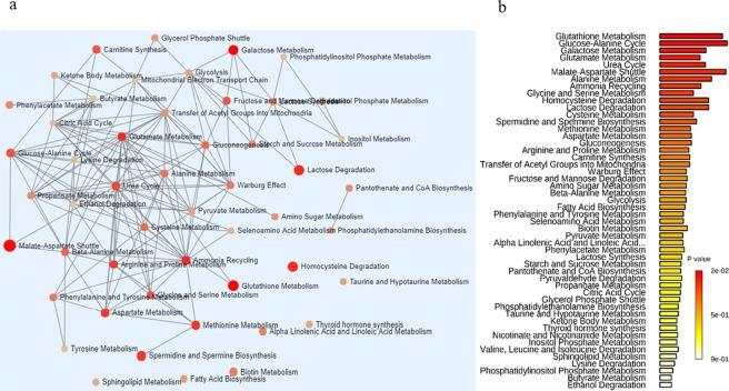 https://cdn.ncbi.nlm.nih.gov/pmc/blobs/2133/6591403/85846b1514f9/41598_2019_45640_Fig1_HTML.jpg