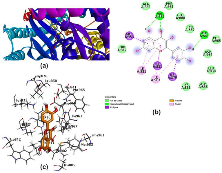 https://cdn.ncbi.nlm.nih.gov/pmc/blobs/2134/10535482/1748983a6211/pharmaceutics-15-02306-g007.jpg