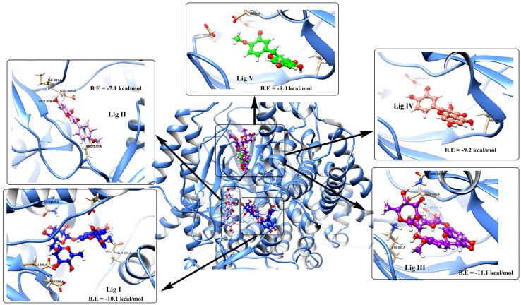 https://cdn.ncbi.nlm.nih.gov/pmc/blobs/2134/10535482/f9d784beda9b/pharmaceutics-15-02306-g002.jpg
