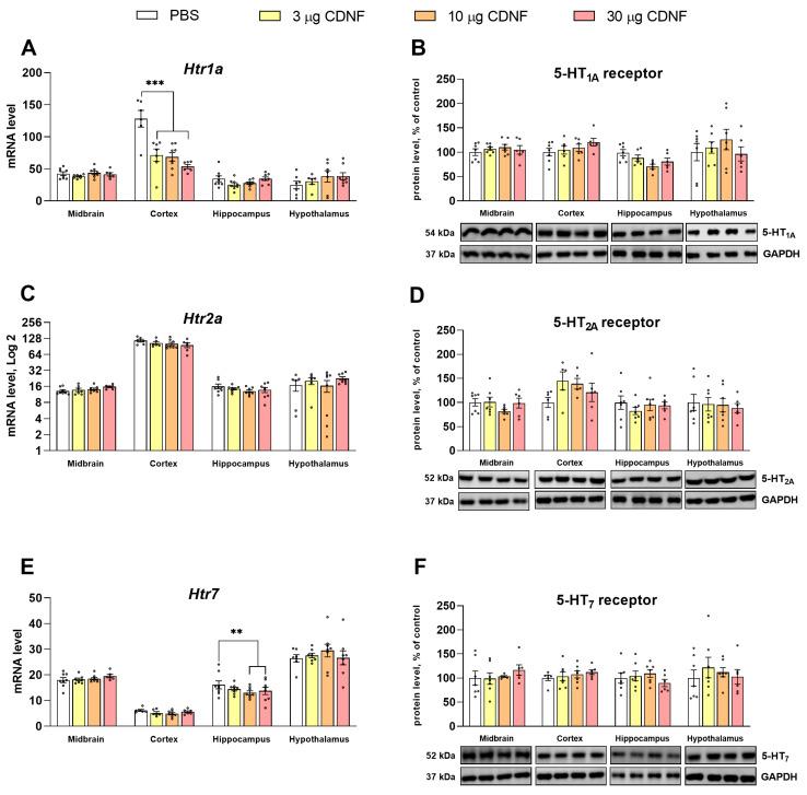 https://cdn.ncbi.nlm.nih.gov/pmc/blobs/2136/11482483/859ce9f59771/ijms-25-10343-g011.jpg