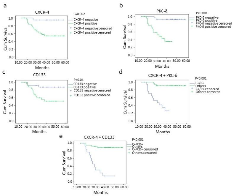 https://cdn.ncbi.nlm.nih.gov/pmc/blobs/2137/8656999/9f1372d1c56b/cancers-13-05895-g005.jpg