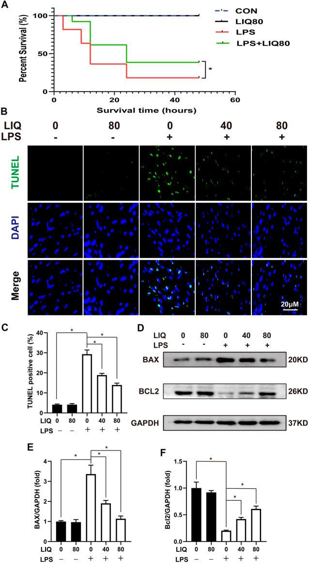https://cdn.ncbi.nlm.nih.gov/pmc/blobs/2139/8162655/412be5cf65a2/fphar-12-648688-g003.jpg