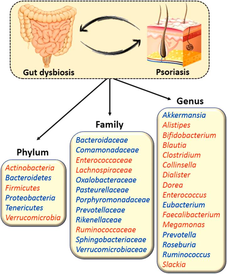 https://cdn.ncbi.nlm.nih.gov/pmc/blobs/213a/11760288/eac10a28200f/gr2.jpg