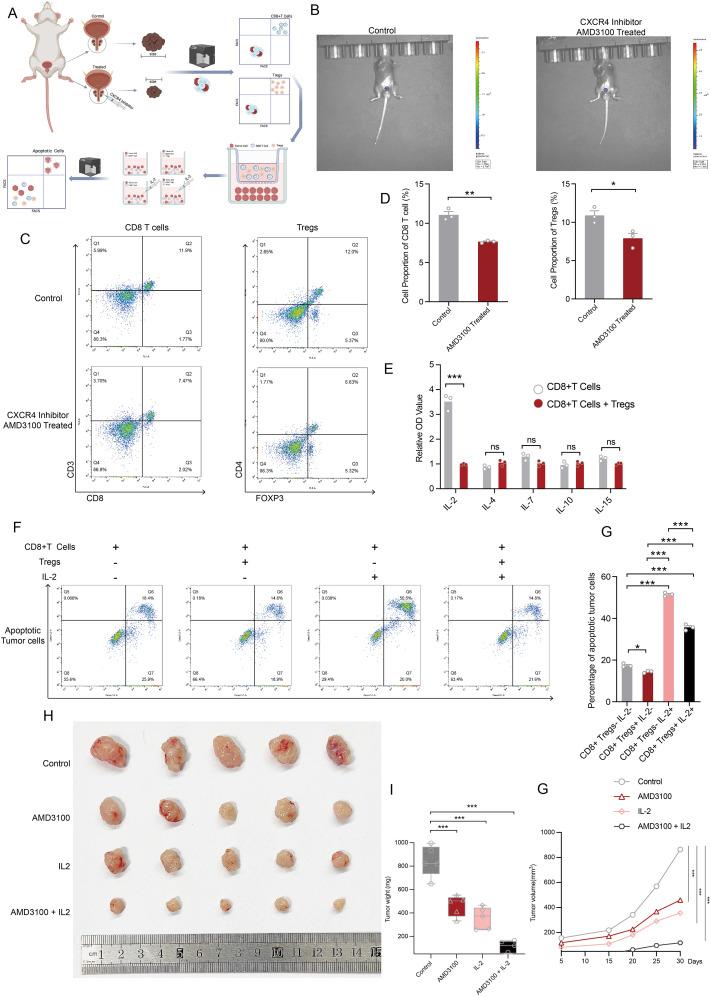 https://cdn.ncbi.nlm.nih.gov/pmc/blobs/213a/12279891/f69162f3ef71/fimmu-16-1626708-g008.jpg