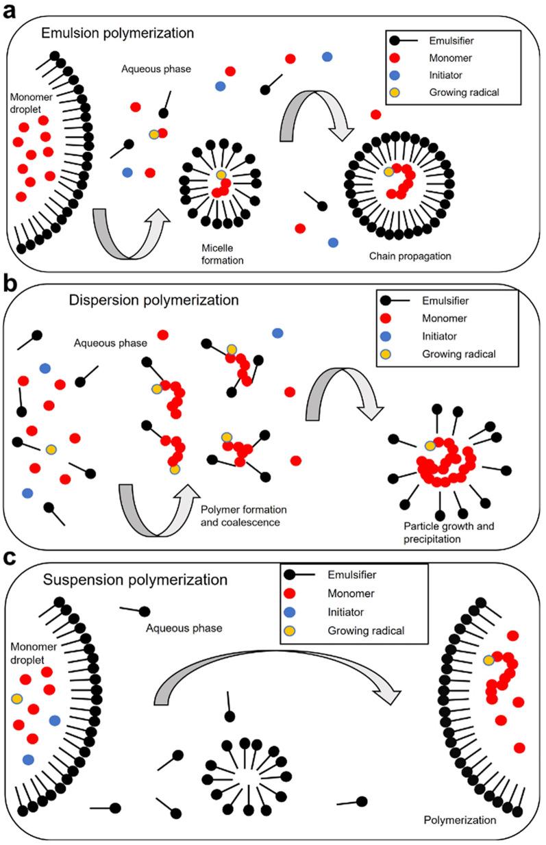 https://cdn.ncbi.nlm.nih.gov/pmc/blobs/213b/11429038/651943f89890/12989_2024_599_Fig2_HTML.jpg
