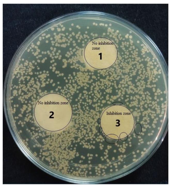 https://cdn.ncbi.nlm.nih.gov/pmc/blobs/213b/8658904/93cef3619ffb/polymers-13-04098-g011.jpg