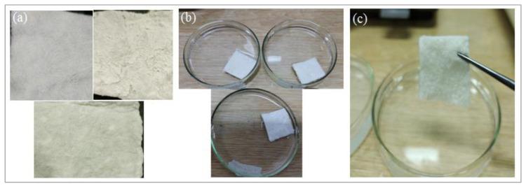 https://cdn.ncbi.nlm.nih.gov/pmc/blobs/213b/8658904/9a2818403b2e/polymers-13-04098-g002.jpg