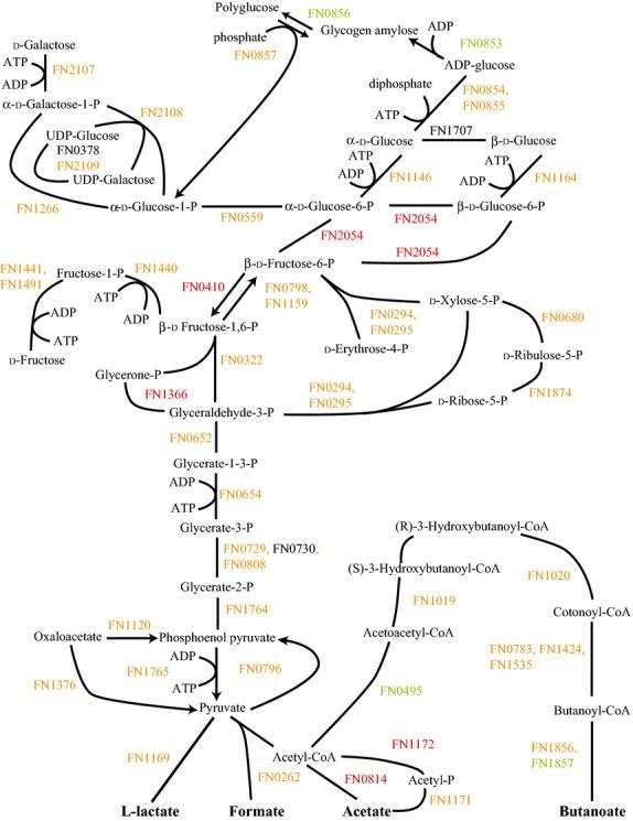 https://cdn.ncbi.nlm.nih.gov/pmc/blobs/213d/4234264/b8b17f98efe9/mbo30003-0729-f5.jpg