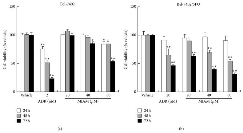 https://cdn.ncbi.nlm.nih.gov/pmc/blobs/213d/4413889/e3920b6c9956/BMRI2015-491205.001.jpg