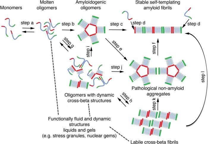 https://cdn.ncbi.nlm.nih.gov/pmc/blobs/213e/3639398/5ef54d03b095/JCB_201302044_Fig2.jpg