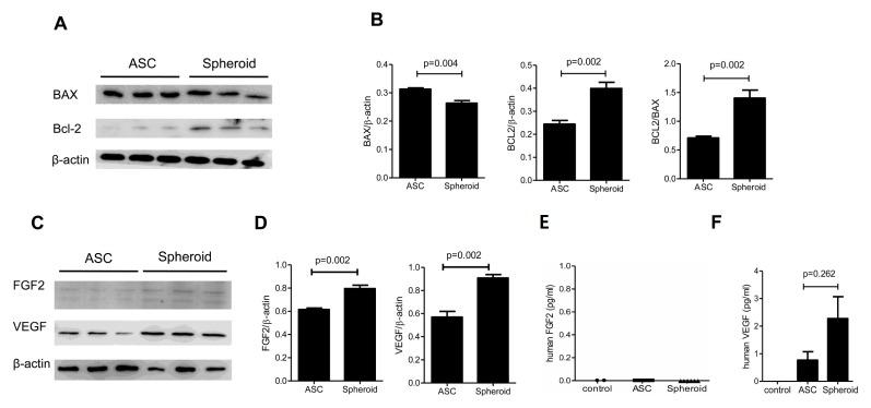 https://cdn.ncbi.nlm.nih.gov/pmc/blobs/2143/5342870/46301d5ca913/bmb-50-079f1.jpg