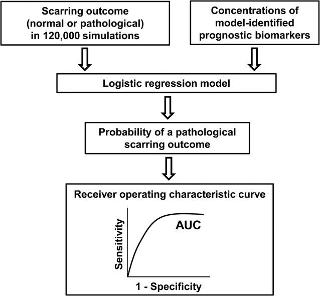 https://cdn.ncbi.nlm.nih.gov/pmc/blobs/2144/5819197/316c14c4f3e6/12967_2018_1406_Fig2_HTML.jpg