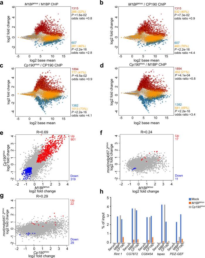 https://cdn.ncbi.nlm.nih.gov/pmc/blobs/2145/8263732/a2d946031bc0/41467_2021_24407_Fig4_HTML.jpg